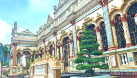 image-42